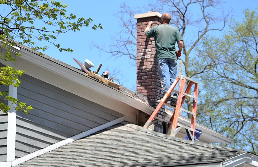 Chimney & Fireplace Inspections Services in Mckinney, TX